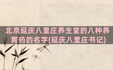北京延庆八里庄养生堂的八种养胃药的名字(延庆八里庄书记)