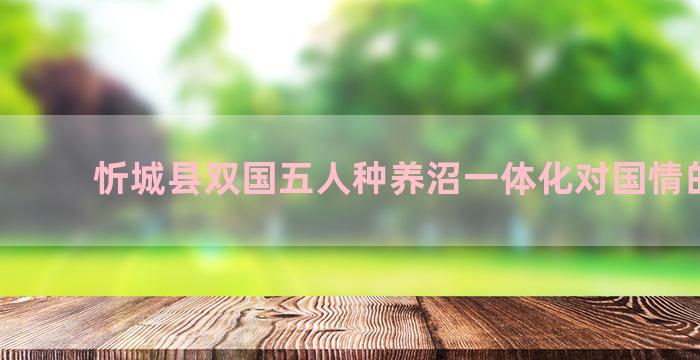 忻城县双国五人种养沼一体化对国情的影响