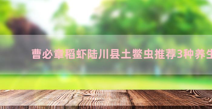 曹必章稻虾陆川县土鳖虫推荐3种养生美食