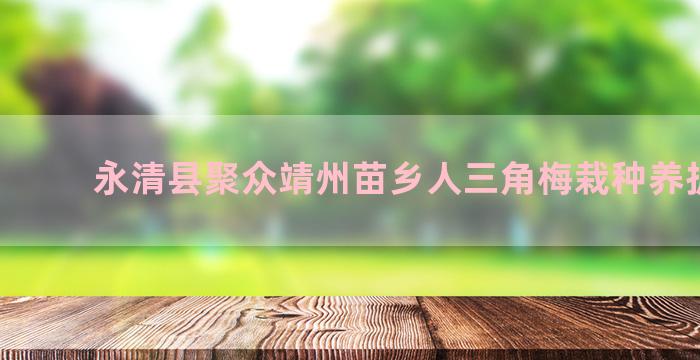 永清县聚众靖州苗乡人三角梅栽种养护方案